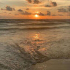 Meet your Posher, Asma